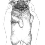 ENS for puppies