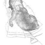 ENS for puppies