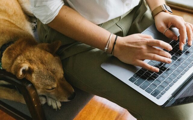 online courses on neuroscience and dogs
